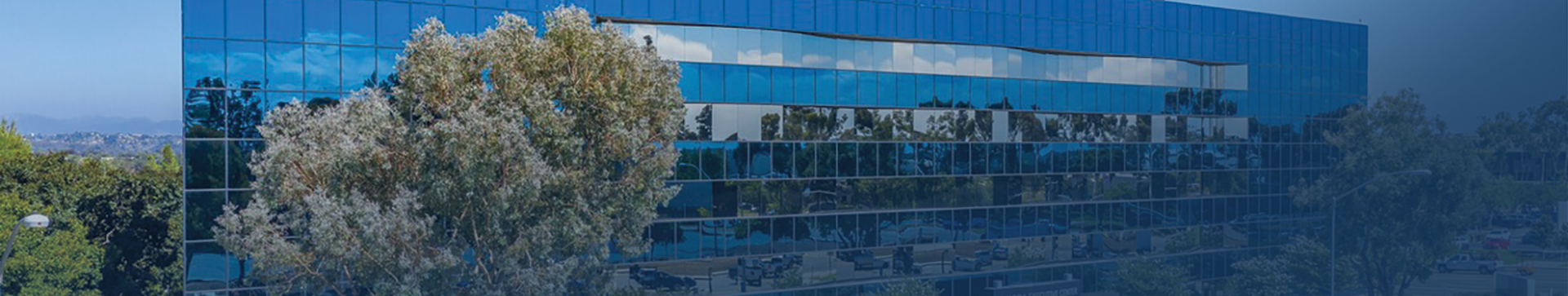 Epsilon Careers